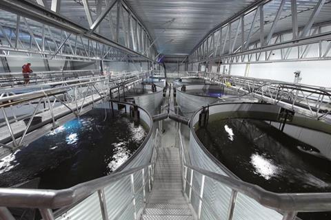 Land-based aquaculture